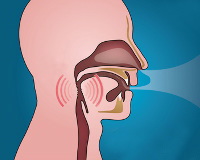 睡眠時無呼吸症候群